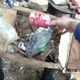 Pinheiro’s body camera footage. Image Credit: Twitter/ Justin Fenton